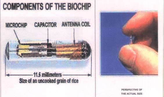 Bio Chips
