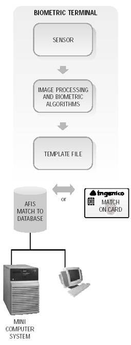 Biometrics Based Authentication Systems