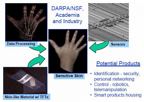 Sensitive Skin