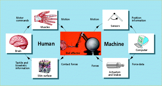 Virtual Surgery