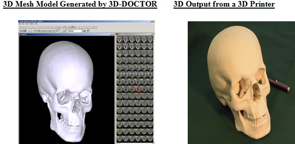 3D Model Examples
