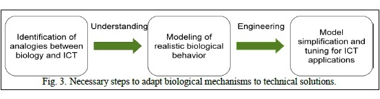 Bio-inspired Networking