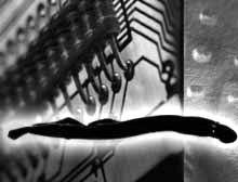 Cyborgs