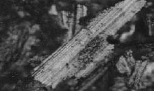 Wear Debris Analysis